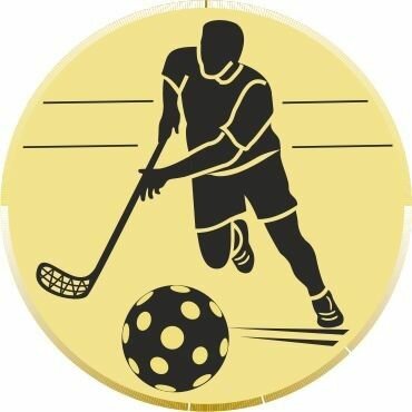 Florbalový turnaj o Pohár riaditeľa školy