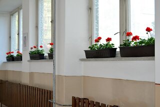 den_zeme2016004