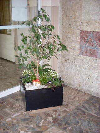 den_zeme2016006