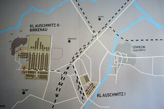 oswien01