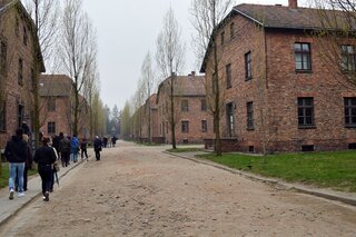 oswien03