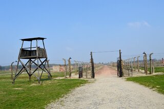oswien09