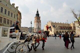 oswien15