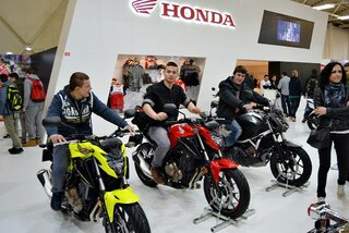 vystava55