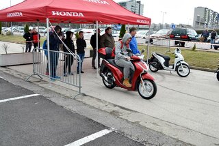 vystava84