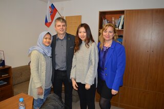 AIESEC projekt