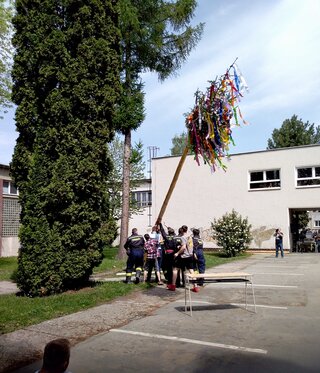 majales11