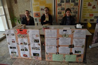skola-hrouDSC_0036