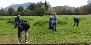 upracme2019008