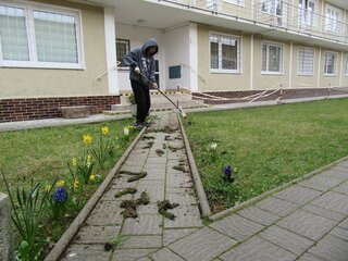 den_zemeIMG_7039-6