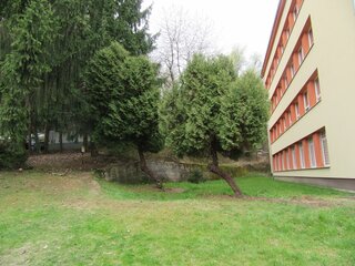 den_zemeIMG_7049-12