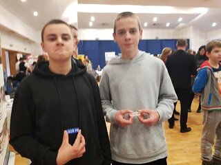 3d1