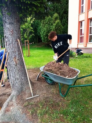 jarne_upratovanie1