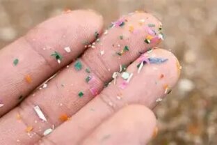 Zväčšiť fotografiu - Projekt microplastless
