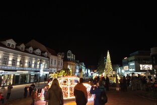 Zväčšiť fotografiu - 