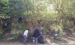 den_zeme2016001