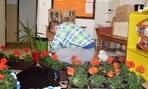 den_zeme2016002