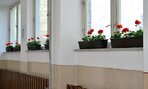 den_zeme2016004