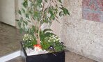 den_zeme2016006