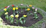 den_zeme2016008