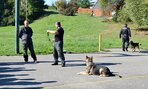 Ochrana života a zdravia - ozaz_3002
