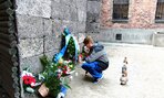 oswien06