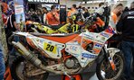 vystava59