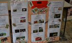 skola-hrouDSC_0178