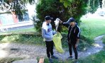 cist_den013