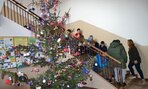 vian_besiedka3
