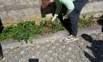 den_zeme2426