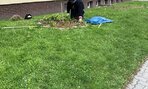 den_zeme245