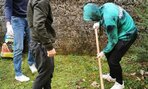 les1