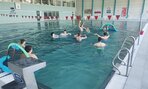 plav_tur_245