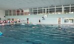 plav_tur_246