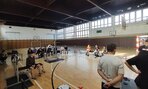 silovy_528