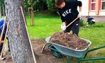 jarne_upratovanie1