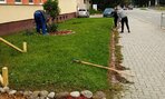 jarne_upratovanie10