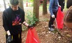 jarne_upratovanie19