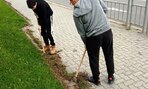 jarne_upratovanie7