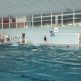 Tradičný plavecko-turistický kurz 2024 pre žiakov našej školy - plav_tur_246