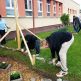 Veľké jarné upratovanie - jarne_upratovanie5