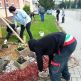 Veľké jarné upratovanie - jarne_upratovanie9